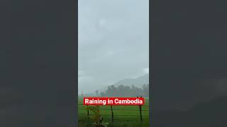 Beautiful Raining seasons in Cambodia screenshot 3