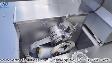 VERFOODOSOLUTIONS Single Lane Sausage Linker Machine Detail Show for Guatemala Customer