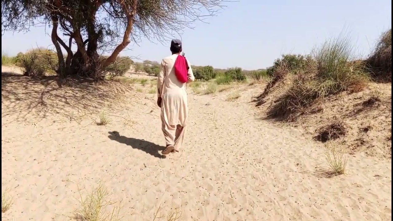 #lifeisbutadream #dothingsyoudontwanttodo #education #vlogoftheday 