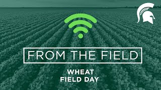 2021 Wheat Field Day - Lacie Thomas