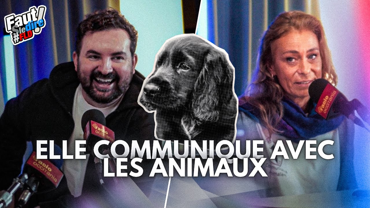 Tu sais parler à ton chat ?