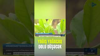 Bu ərazilərə yağış yağacaq, dolu düşəcək