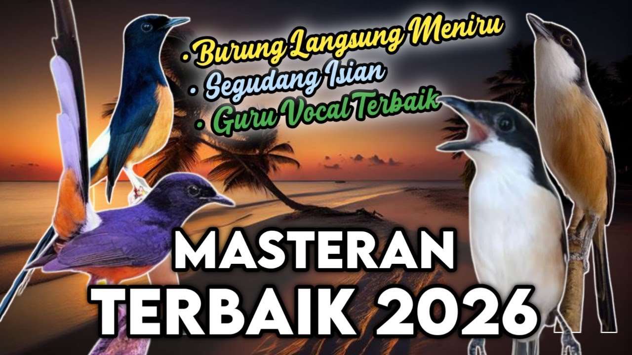 MASTERAN SEGUDANG ISIAN, BURUNG LANGSUNG MENIRU, MASTERAN CENDET & MURAI BATU
