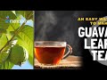 Guava leaf tea by dr aijaz hyder