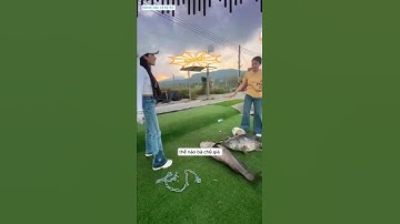 gái xinh lấy dây xích câu cá mũ 8 phút câu được 2 con làm bà chủ hồ búc súc không cho câu  #fishing