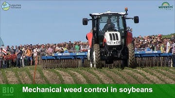 Machine Demonstration: mechanical weed control in soybeans