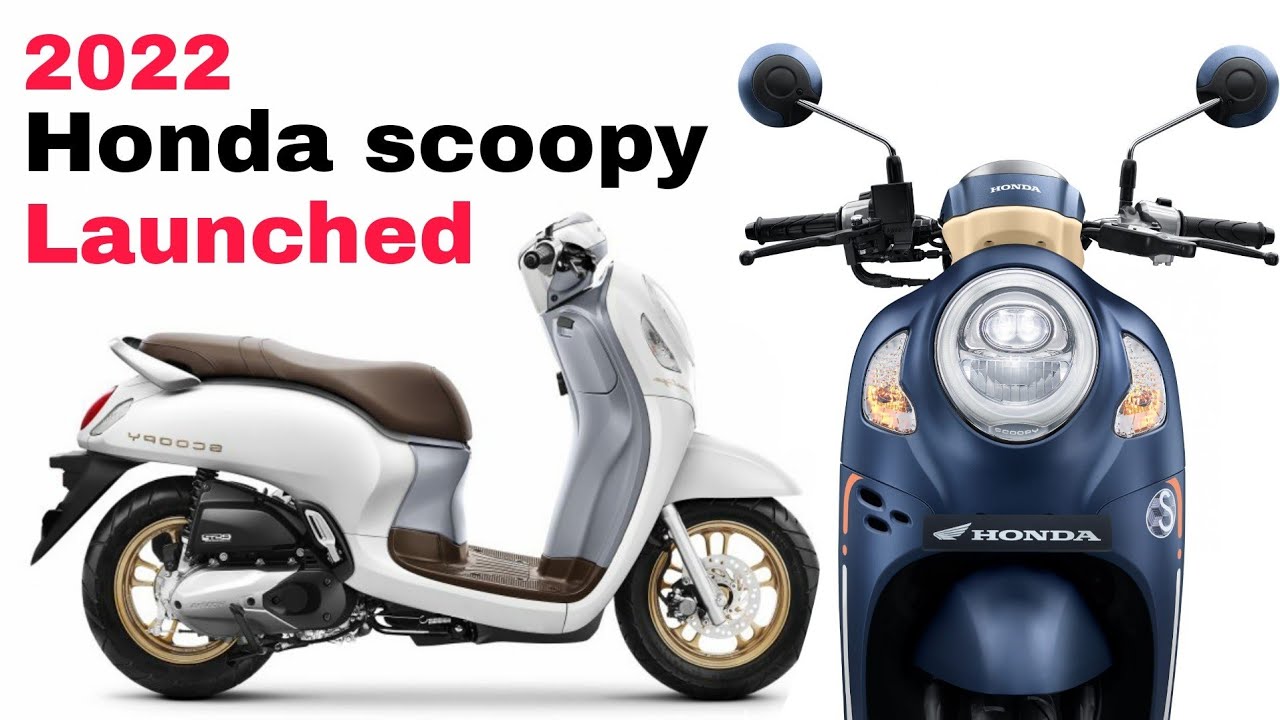 Scoopy 2022