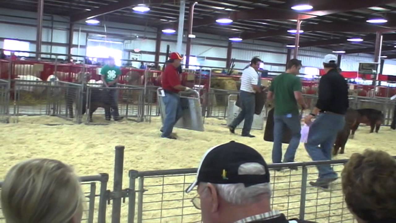 Spencer Fair 2014 YouTube