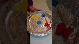 Hayvan Hücresi Modeli