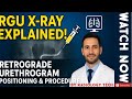 👉 “Retrograde Urethrography (RGU) Procedure Explained | Step by Step Radiology Guide for Students 