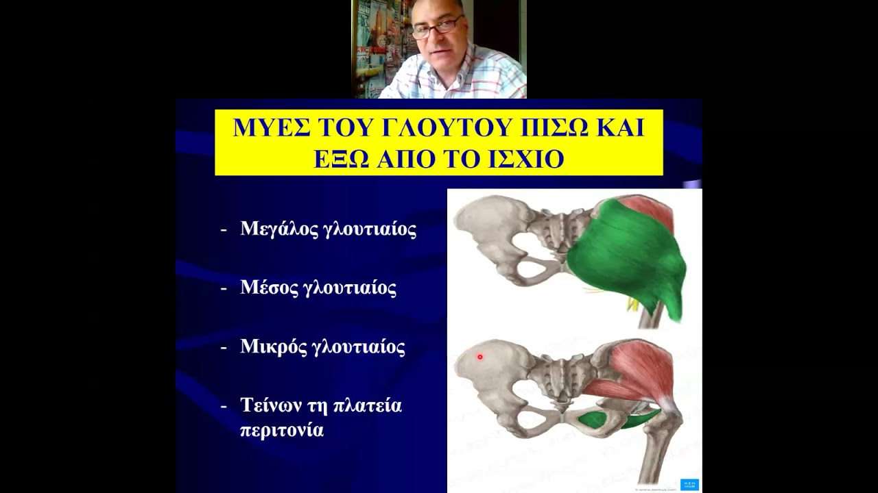 11ο Εργαστήριο Λειτουργικής Ανατομικής 14 04 2021