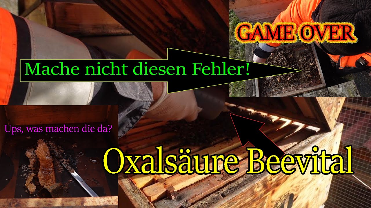 Im Dezember bei den Bienen Oxalsäure, Varroa Behandlung, ein totes Volk und große Fehler beim Imkern