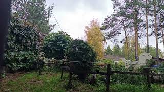 видео: #Египетские чтения.25 Свидание в гробнице и ужасная награда для Таиты Роман Речной Бог. Уилбур Смит. картинка: #Египетские чтения.25 Свидание в гробнице и ужасная награда для Таиты Роман Речной Бог. Уилбур Смит.