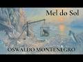 “Mel do Sol” | Música de Oswaldo Montenegro | Versão Fantasia