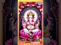 Jai Shri Ganesh //#ganesh #aarti #viralshorts