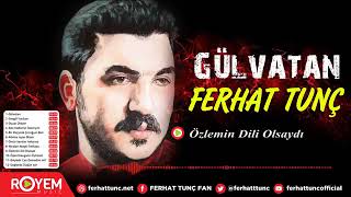 Ferhat Tunç - Özlemin Dili Olsaydı Resimi