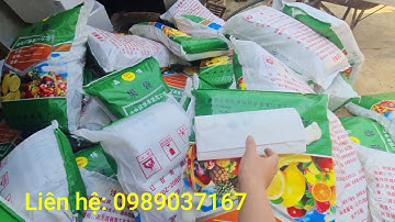 Các loại túi bọc tốt nhất cần cho Na Thái, xoài, bưởi...