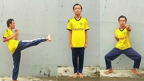 10 GERAKAN TEKNIK DASAR PENCAK SILAT