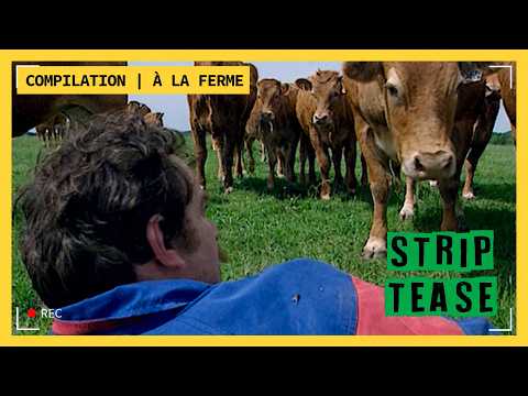 STRIP TEASE I Compilation