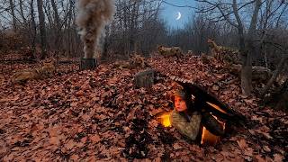 Building a Secret Shelter Under a Tree Stump | Bushcraft & Survival