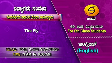 6th Class | English | Day-56 | 9AM to 9.30AM | 08-02-2021 | DD Chandana
