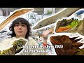 We Are Welcoming The Coolest Reptile Among Them JRS Yokohama We Are Welcoming The Coolest Reptile Among Them JRS Yokohama