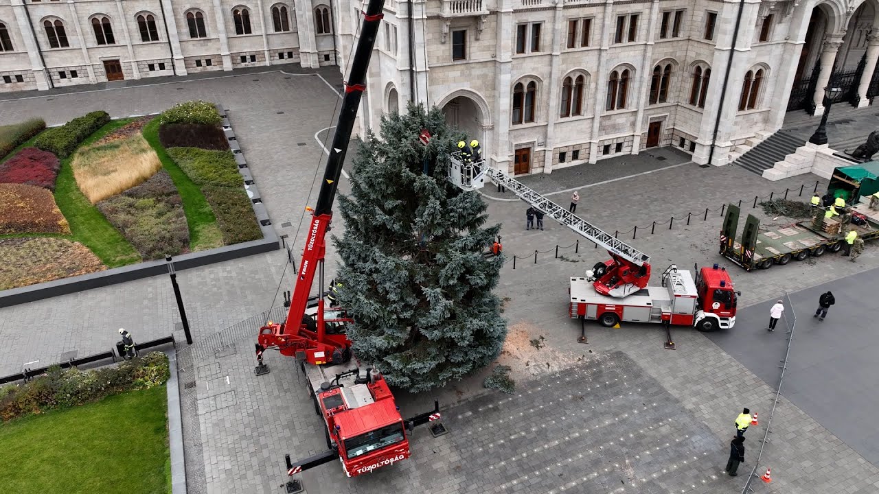 Megérkezett az Ország Karácsonyfája a Kossuth térre