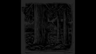 Vordr - Thy Purifying Rain