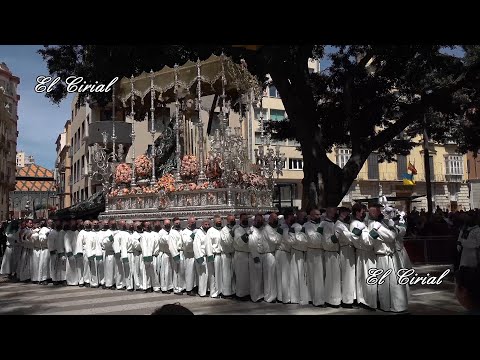 Real Cofradía de Nuestro Padre Jesús a su Entrada en Jerusalén y María Santísima del Amparo