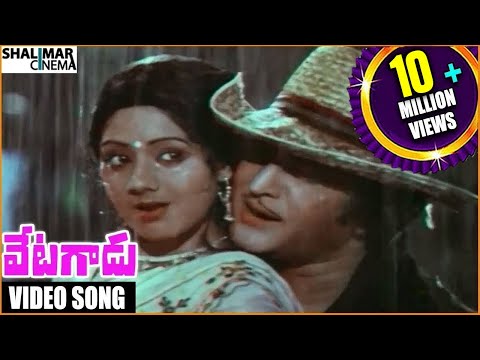 Vetagadu Movie || Aku Chaatu Pinda Thadise Video Song || Sr. NTR, Sridevi || Shalimarcinema