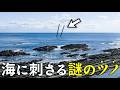 海難事故が生んだ奇景"鬼のツノ"解説【廃墟ドローン】