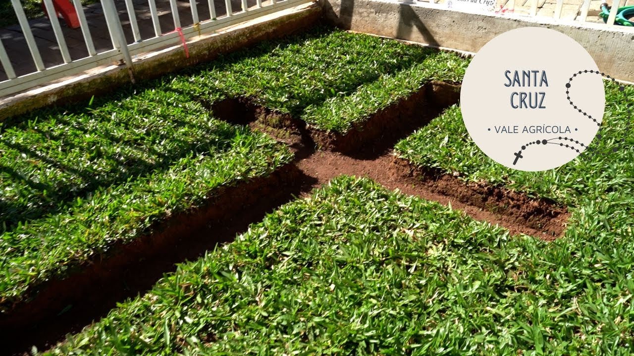 Cruz aberta na grama há 80 anos atrai 100 mil visitantes por ano  (Nossa Senhora da Santa Cruz)