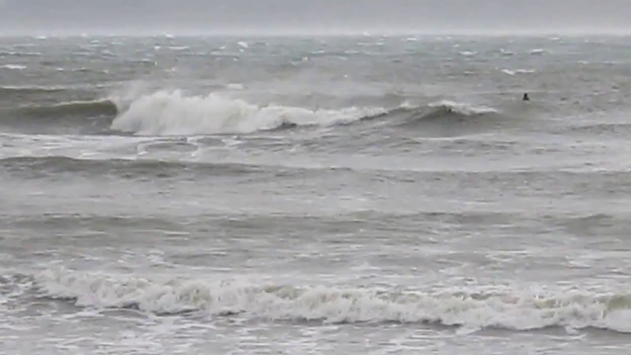 Bellingham Bay wind and surfing YouTube