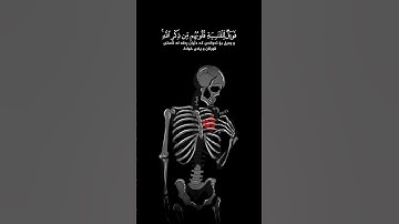 فويل للقاسية قلوبهم من ذكر الله بصوت محمد اللحين تلاوة خاشعة⚡️❤️‍🩹