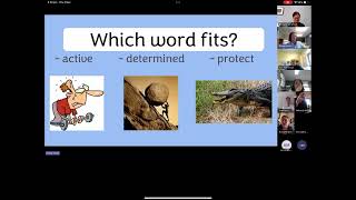 Celebrity TWR + InitiaLit Wealth