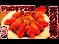 【激辛ハンター】ギロチンチャーハンの最高峰ゴットを超えた【デビル】に挑戦【辛いもんやギロチン南船場店】