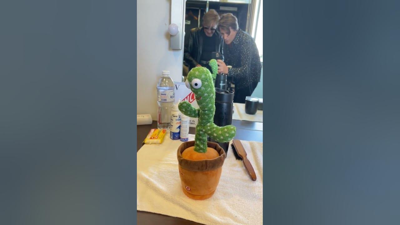 Kyona a testé le cactus qui parle 