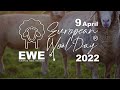 2nd european wool day  ewe foundation 