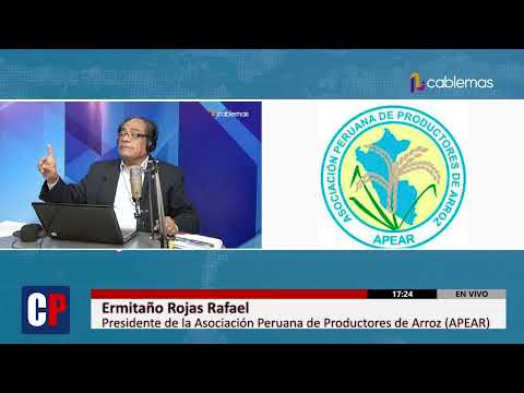 POR EL MOMENTO NO HAY INDICIOS DE QUE SUBA EL PRECIO DEL ARROZ DE MOLINO