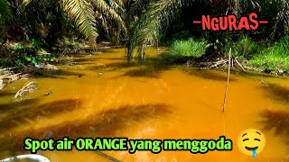 SPOT YANG AIRNYA BERWARNA ORANGE INI TERNYATA PERSEMBUNYIAN PARA IKAN GABUS