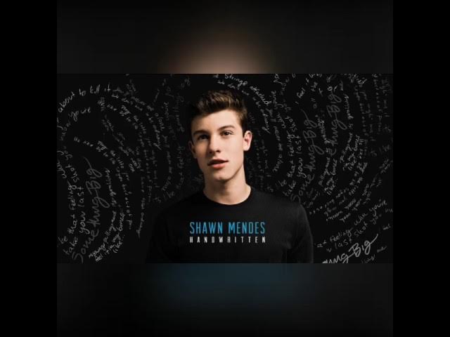 Shawn Mendes -- Stitches (Audio)