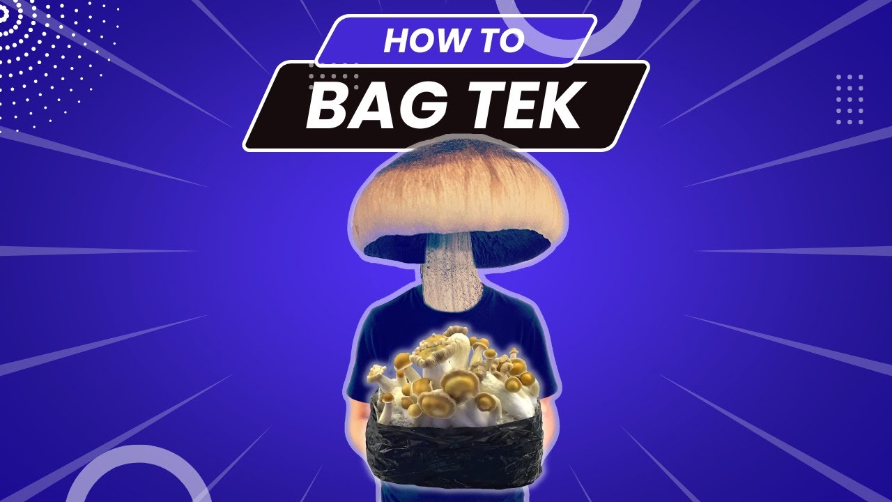 How I Prepare a Fruiting Bag