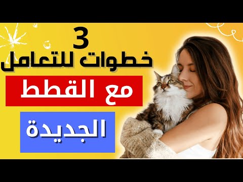 فيديو: 7 نصائح لإحضار القط إلى منزل عائلتك