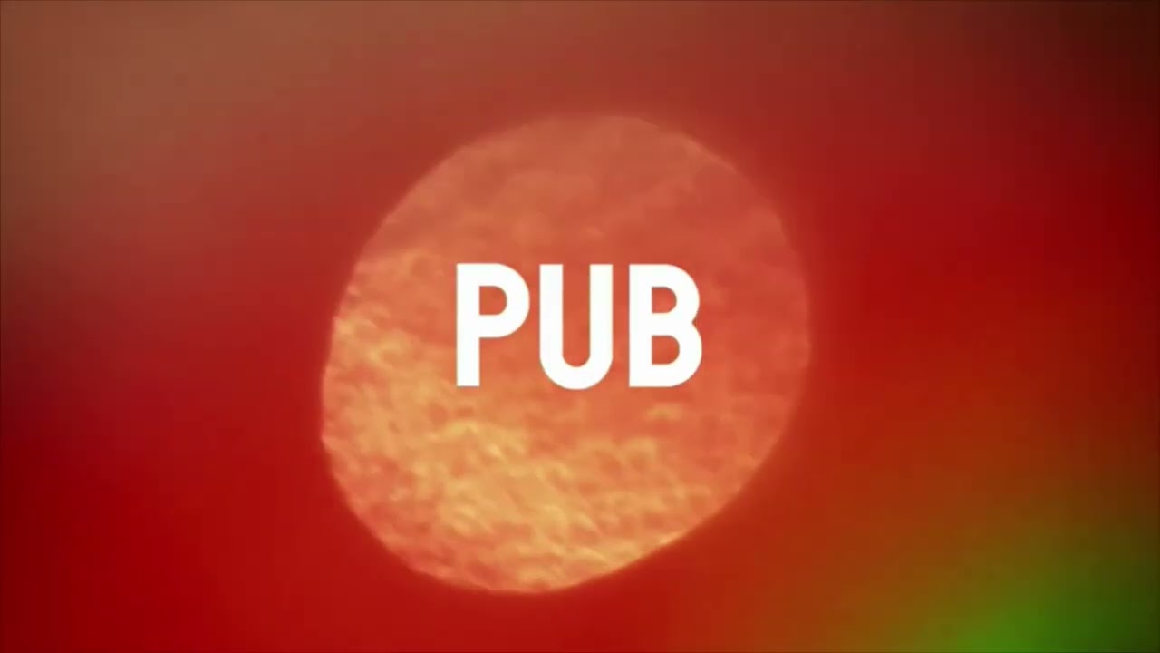 Les jingles pubs de canal + décalé