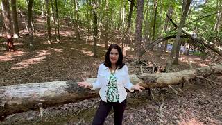 Why is THIS the perfect building lot in Big Canoe? I'll show you! 90 Cardinal Cove, Jasper, GA 30143