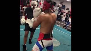 Fernando Vargas jr sparring | Esnews boxeo