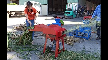 Công Ty Bình Minh - Máy Băm Cỏ 5TA Chuyên Phục Vụ Chăn Nuôi Bò