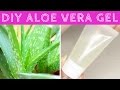 How to Make Aloe Vera Gel at Home from Scratch | DIY Aloe Vera Gel | Beinginger