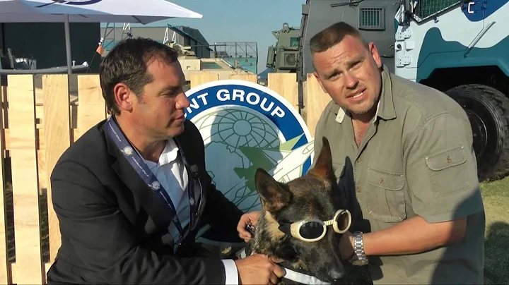 Dogs still the best way to catch rhino poachers