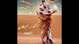 اشوار البيظان (شور الديدمه)